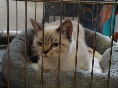 20121021_94 (Expo)